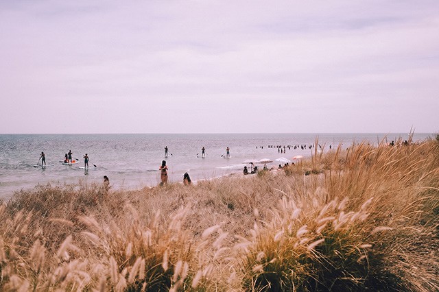 BBW BEACH EXPERIENCE & PADDLE SURF