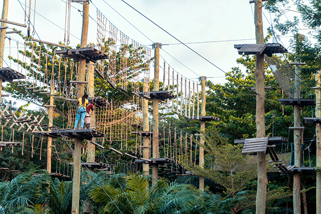 PENA AVENTURA PARK