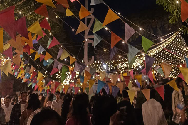 TARDEO VERBENA